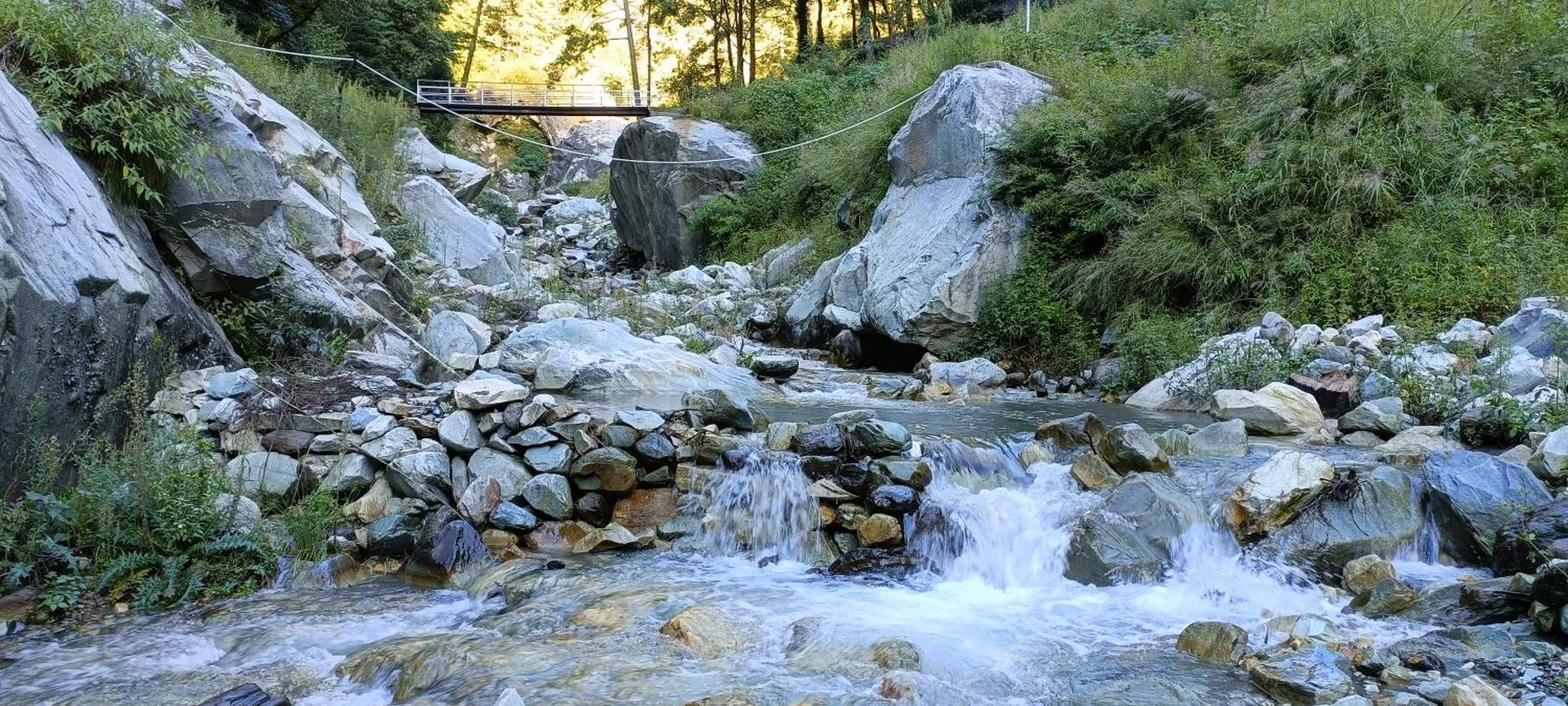 Hotel Dog N Hill Kasol Exterior foto