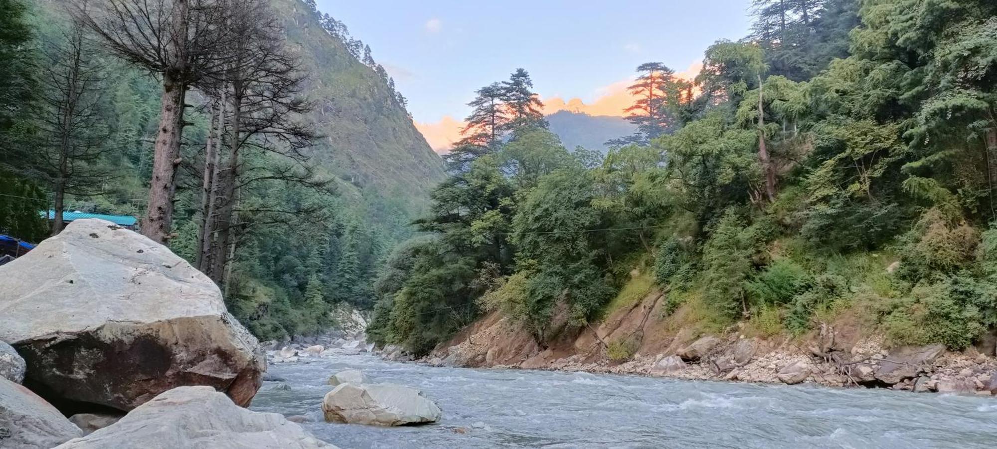 Hotel Dog N Hill Kasol Exterior foto