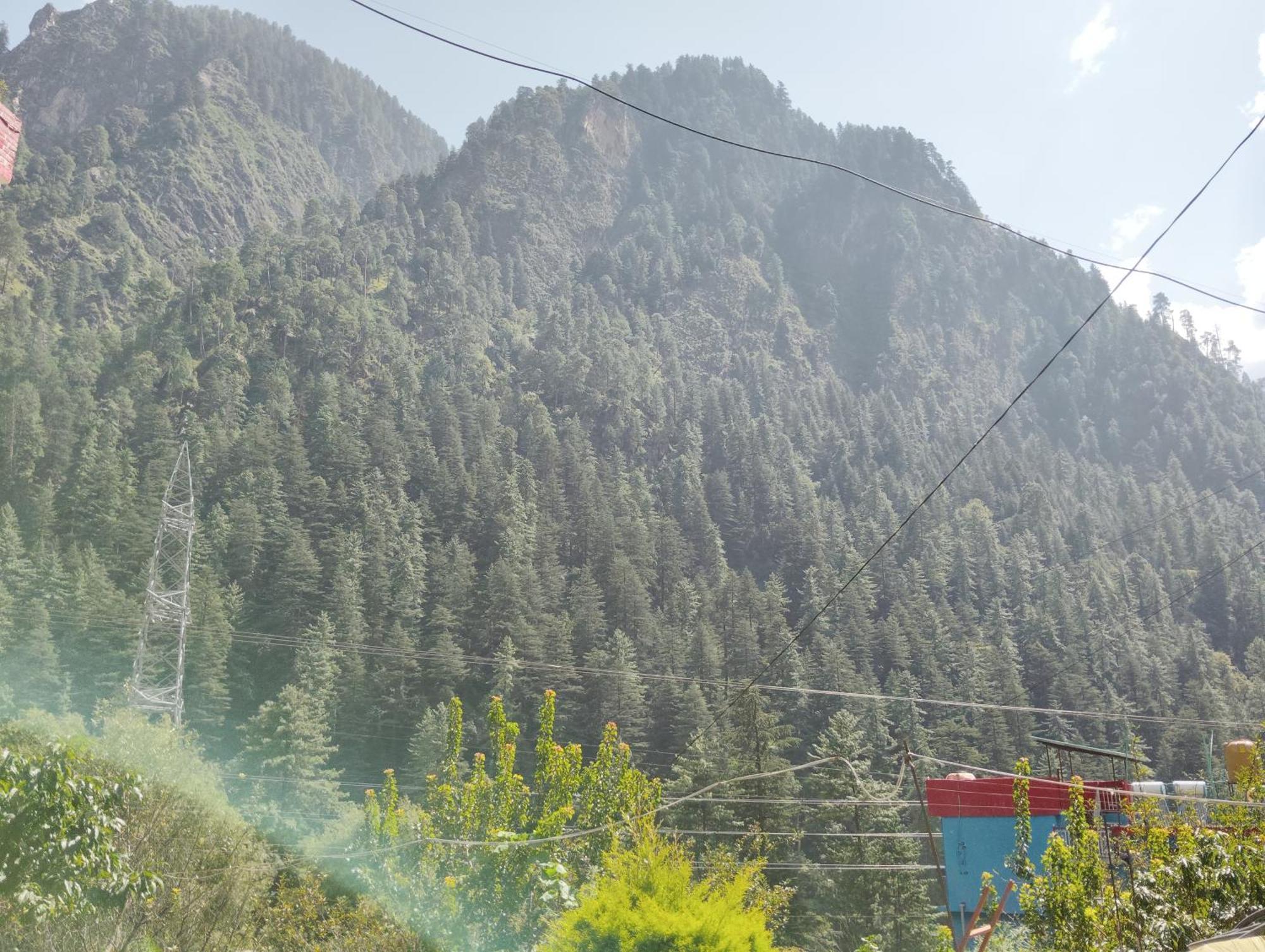 Hotel Dog N Hill Kasol Exterior foto