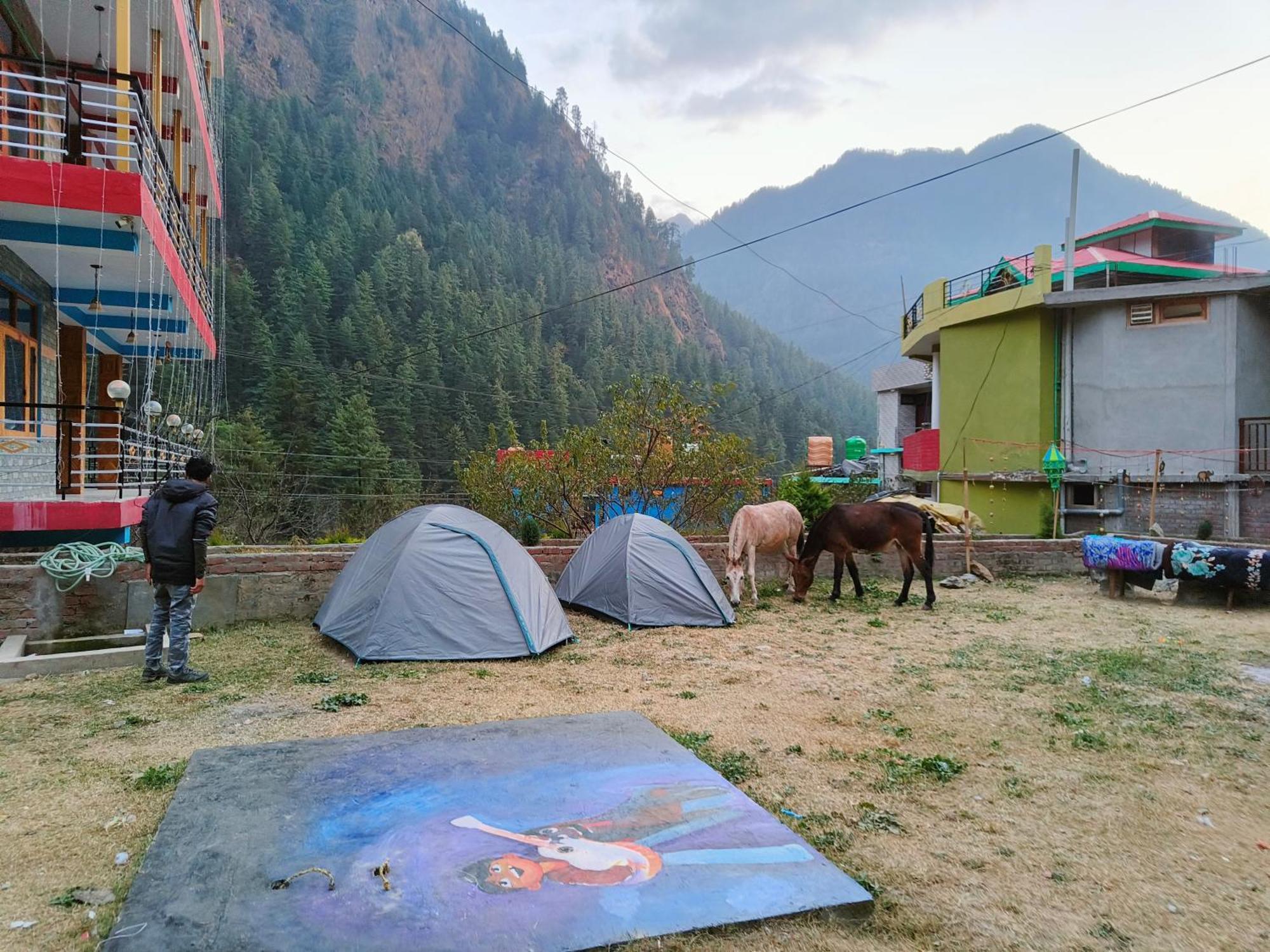 Hotel Dog N Hill Kasol Exterior foto